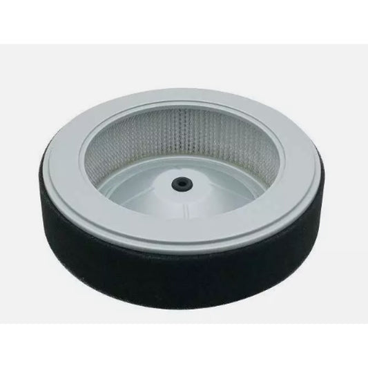 Oregon 30-257 Honda Air Filter Replaces 17210-Z6I-010