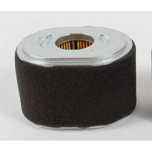 Oregon 30-274 Honda Air Filter Replaces 17210-Z4M-821
