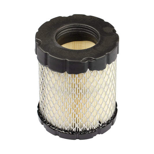 Briggs & Stratton 798897 Air Filter