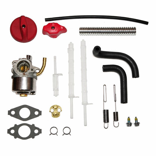 Briggs & Stratton 798917 Carburetor Assembly