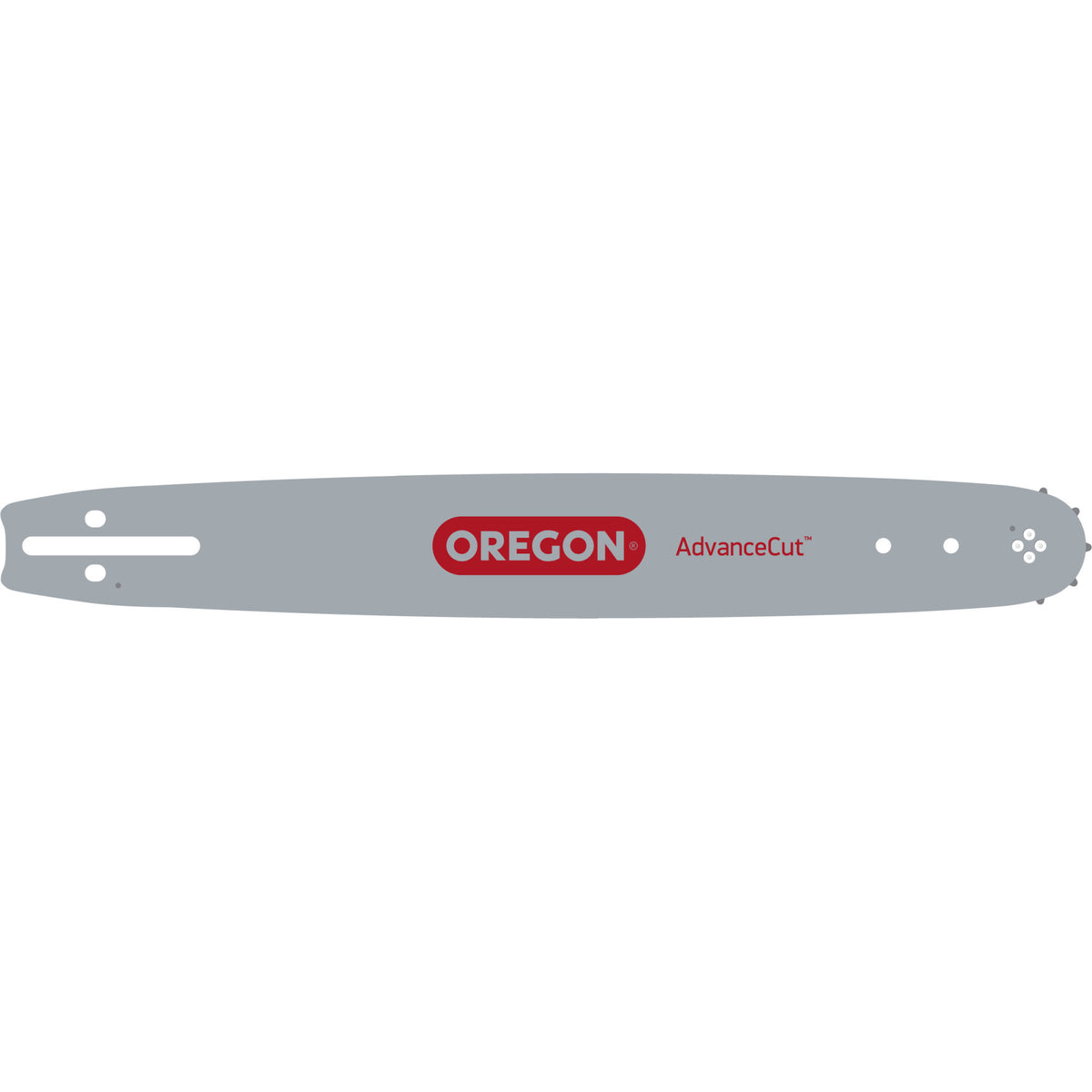 Oregon 10" Chainsaw Advancecut Guide Bar 100SXEA041