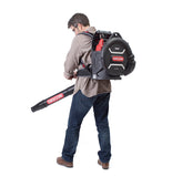 Oregon BL120VX Backpack Leaf Blower BL120VX-NA