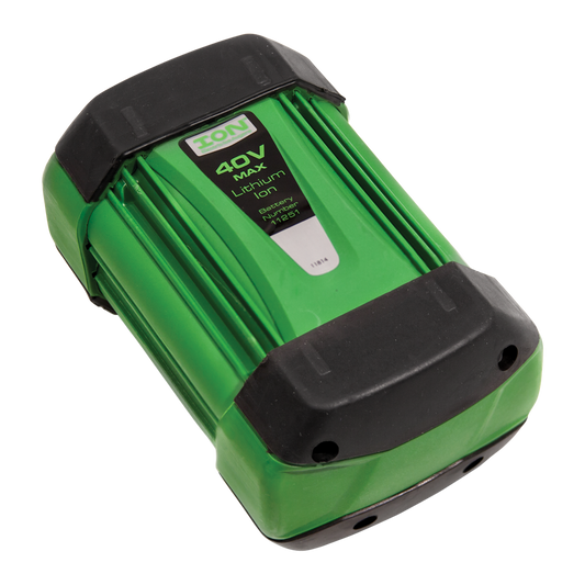 ION 11736 Additional Battery Kit